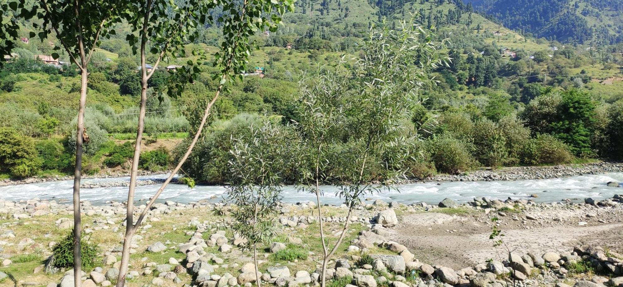 Dream River Resort Pahalgām Zewnętrze zdjęcie